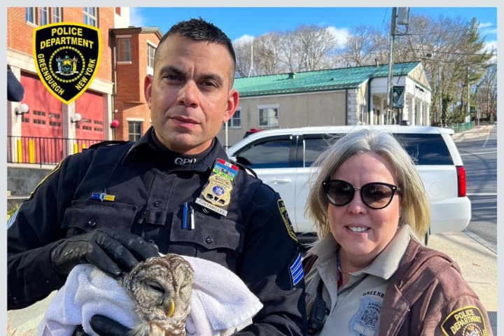 Owl With Injured Eye Helped Out By Police In Westchester County