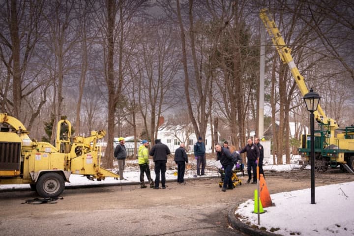 Cohasset Tree Worker Knocked Out By Limb Chopped Down By Co-Worker: Police