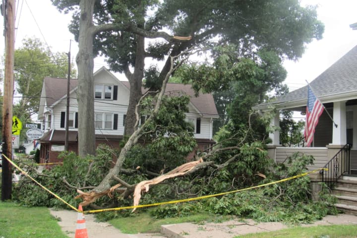 Snapped Tree Limb Clips Hawthorne Home