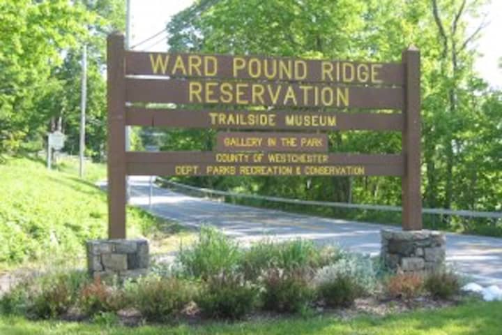 Lost Hiker Found In Ward Pound Ridge Reservation