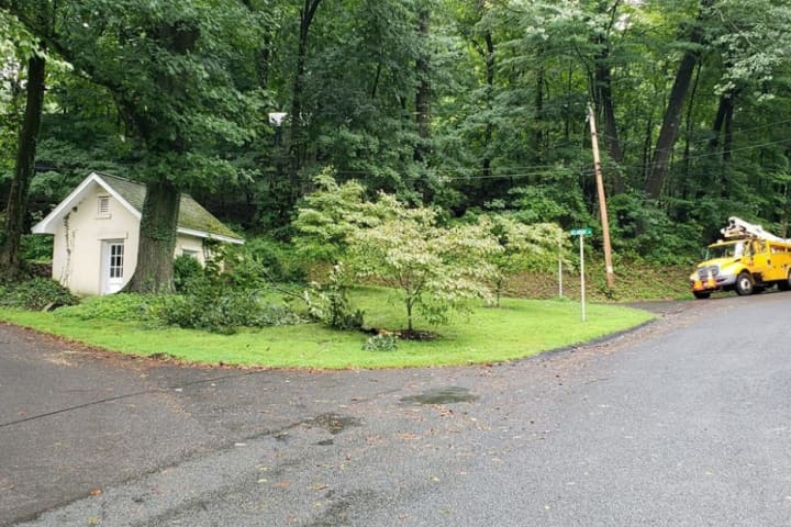 Downed Tree Branch, Lines Cause Power Outage In Easton