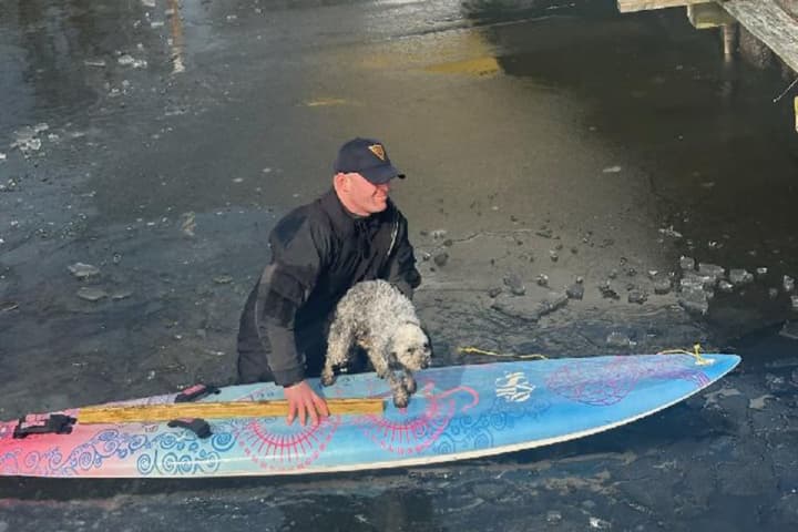 Trooper Rescues Dog Who Fell Through Ice On Lake Hopatcong: NJSP
