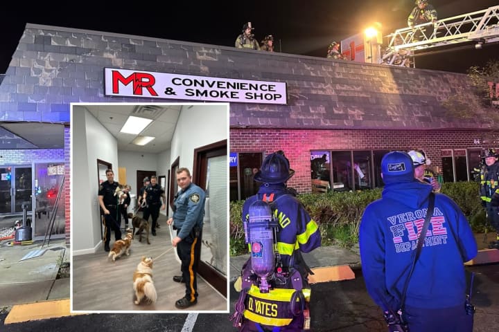 Wayne Responders Save 46 Dogs From Fire At K9 Resort, Officer Suffers Smoke Inhalation