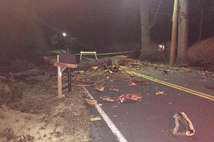 Wind, Downed Trees Knock Out Power In Rockland