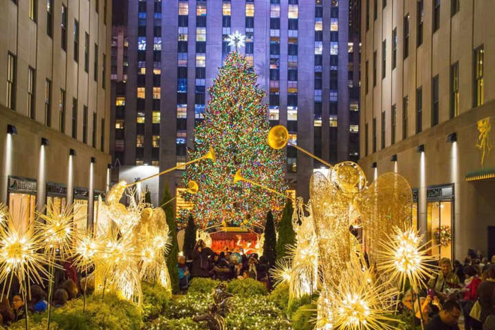 Christmas Tree From Hudson Valley To Be Lit Tonight At Rockefeller Center