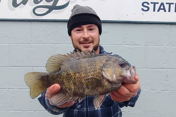 Record-Setting Rock Bass Caught By Maryland Angler