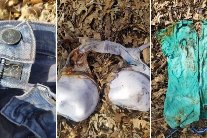Prank? Foul Play? Handyman Says Set Of Woman’s Clothing Found In Fair Lawn Woods