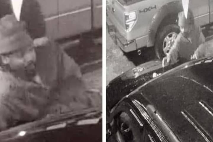 Newark Police Looking For Person Who Burglarized Car Dealership