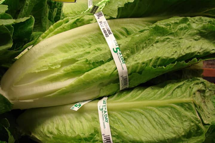 HEALTH WARNING: Romaine Lettuce Unsafe In Any Form, CDC Warns After E Coli Outbreak