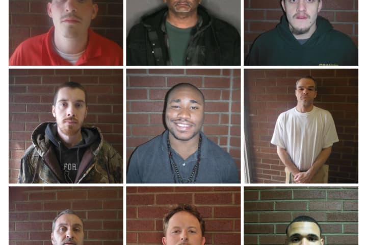 Sex Offender Compliance Operation Nets 11 Arrests In Sullivan County