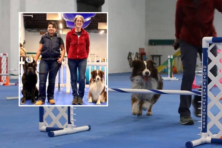 Bergen County Pros Unleash North Jersey Dog Training Mecca