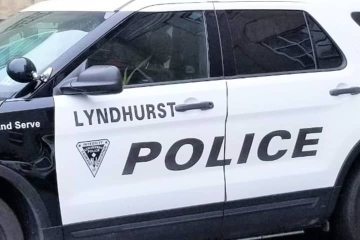 Lyndhurst PD: Wood-Ridge Driver Kicked, Spit At Officers, Claimed He Had COVID