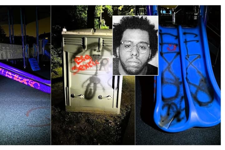 Vandal Caught Spray Painting Elmwood Park Playground: Police
