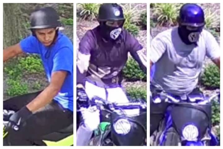 Know Them? Three Wanted For CT Library Vandalism