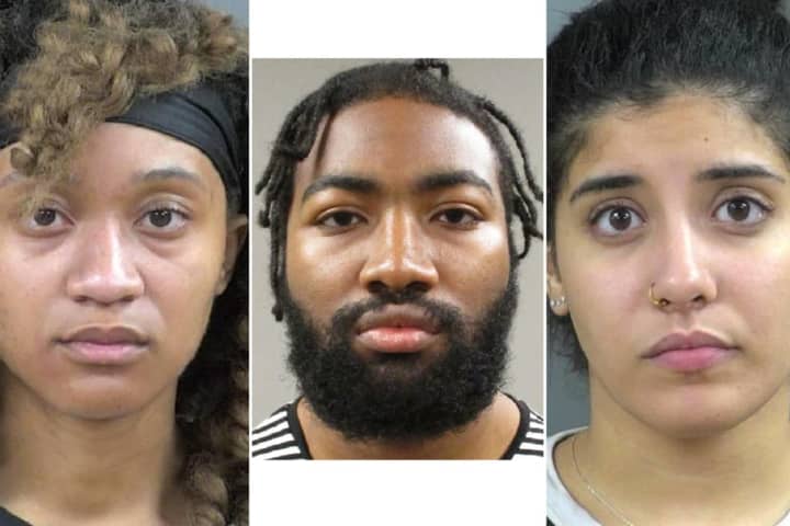 Police: Prostitute, Accomplices Nabbed After Robbing John With Shotgun, Bat At Wayne Hotel