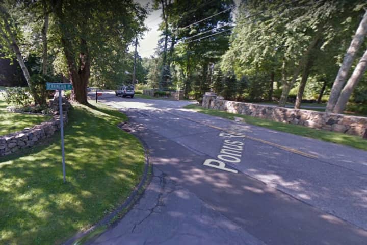 Police Looking To Locate Owner Of Dog Who Bit Person On New Canaan Roadway