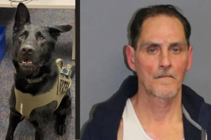 Super Sniffer K9 Noses Out Intoxicated CT Car Thief, State Police Say