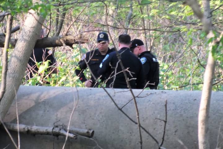 Remains Found In Bergen County Park Are Animal, Authorities Say