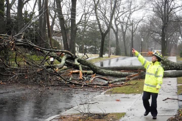 Storm Knocks Ridgewood Church Tree Across Road