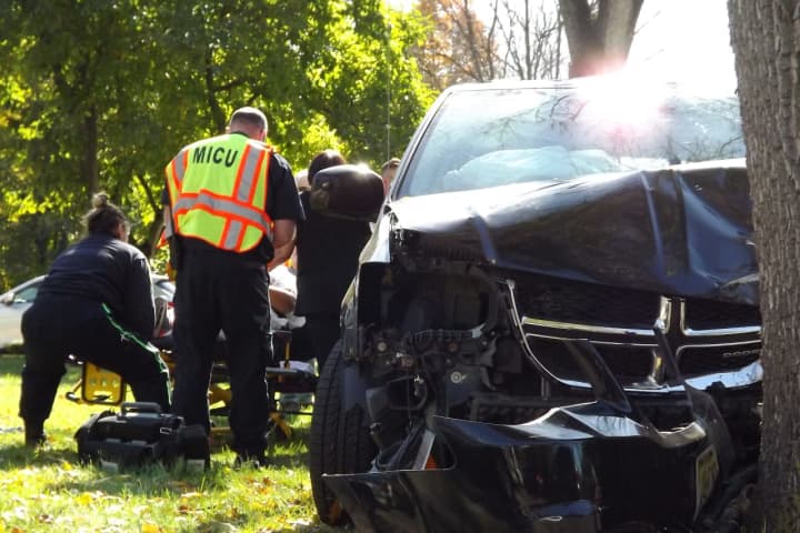 Minivan Slams Into Paramus Tree: Driver Hospitalized, Wheelchair-Bound Passenger OK
