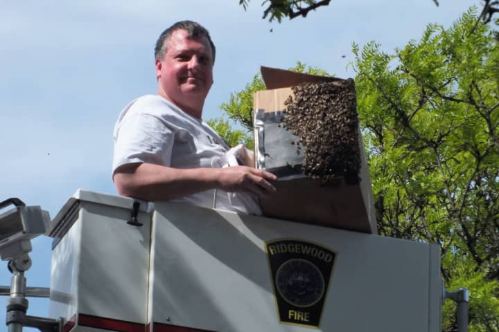 HIVE & SEEK: 12,000 To 15,000 Bees Have House-Swarming Party In Downtown Ridgewood