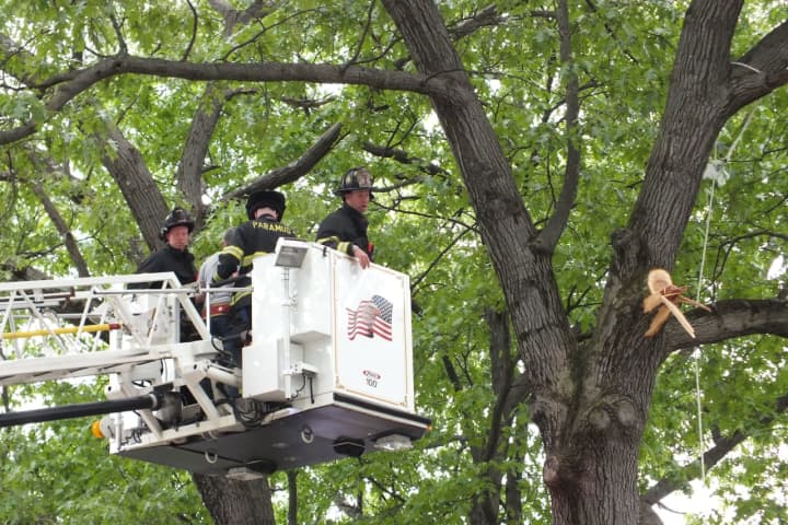 Paramus Firefighters To The Rescue, But It Wasn't A Cat Caught In A Tree This Time