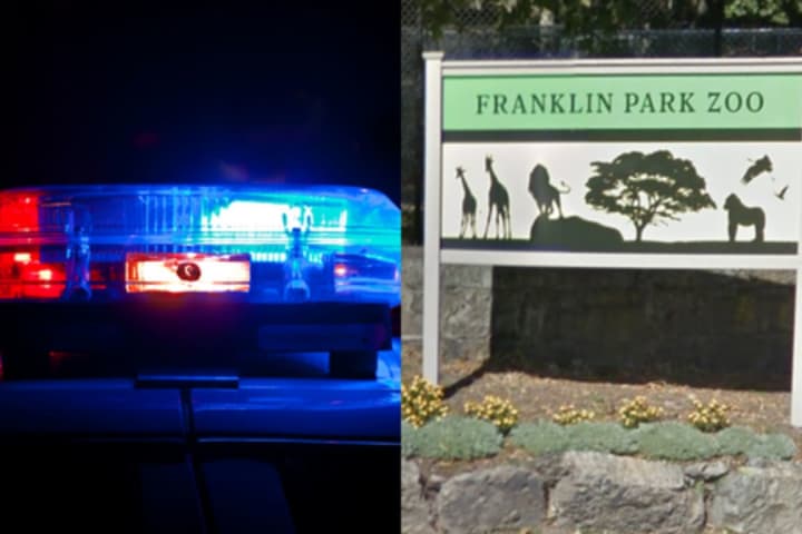 91-Year-Old Woman Stabbed Multiple Times At Franklin Park In Boston: Police