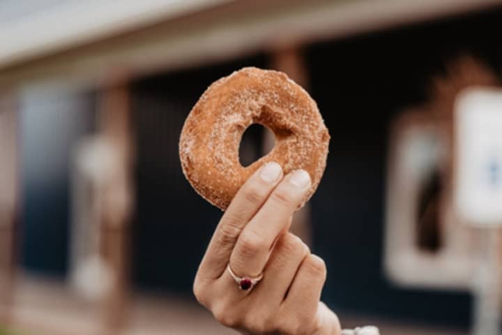 Best Places To Get Apple Cider Doughnuts In Greater Boston Area