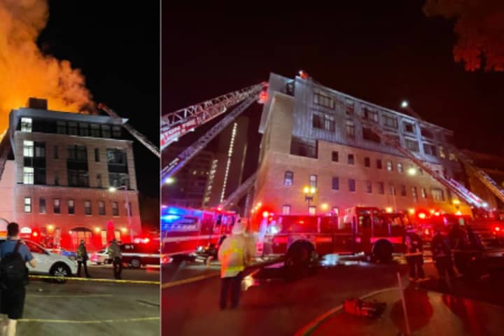 50 Residents, Pets Displaced By Overnight 3-Alarm Fire In Roxbury