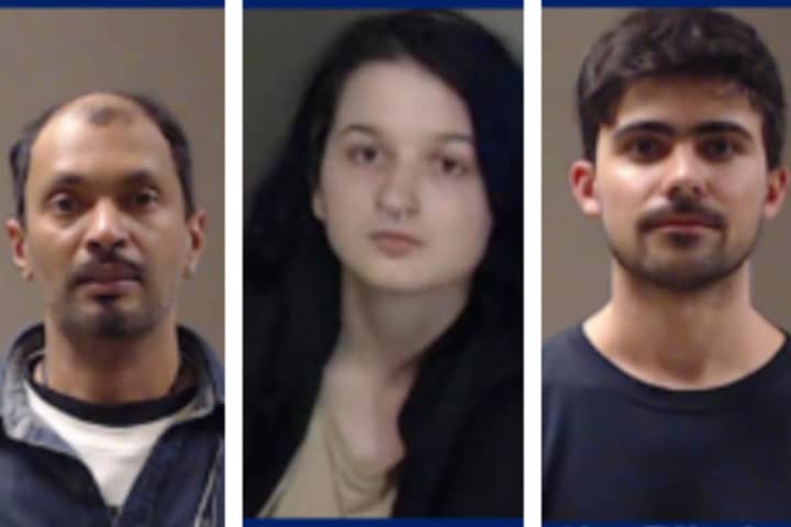 Domestic Terrorism Charges For 3 Mass Protestors Arrested In Atlanta 'Cop City' Protest