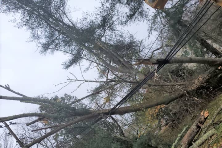 Storm With Gusty Winds Leads To Thousands Of Power Outages In Connecticut