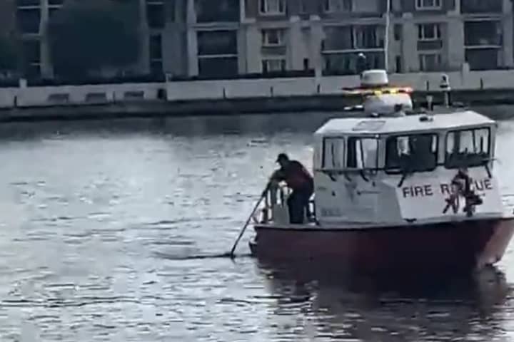 Body Pulled From Water In Baltimore: Fire Officials (DEVELOPING)