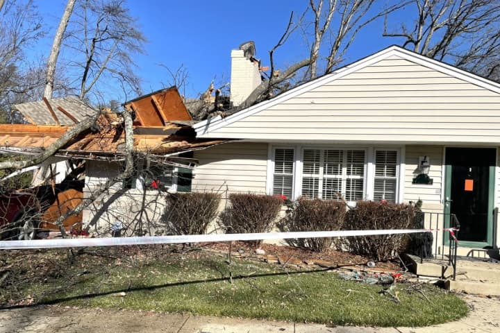 Woman Injured After Tree Falls Through Home in Laurel