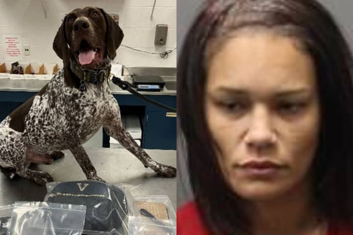 Good Boy! Police K9 Sniffs Out Cocaine, Oxy On Loudoun County Driver, Police Say