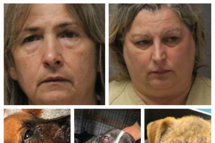 'Crazy Rescue Ladies': 180 Animals Saved From Deplorable Conditions Of Jersey Shore Home