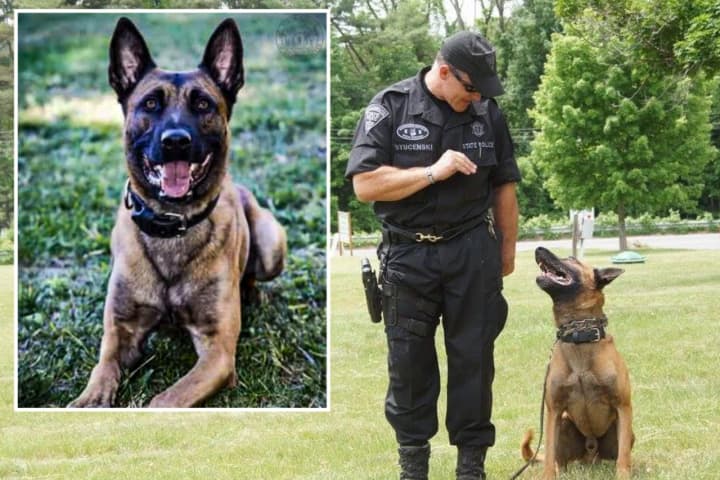 Police Across Massachusetts Pay Respects To Police Dog Killed In Standoff