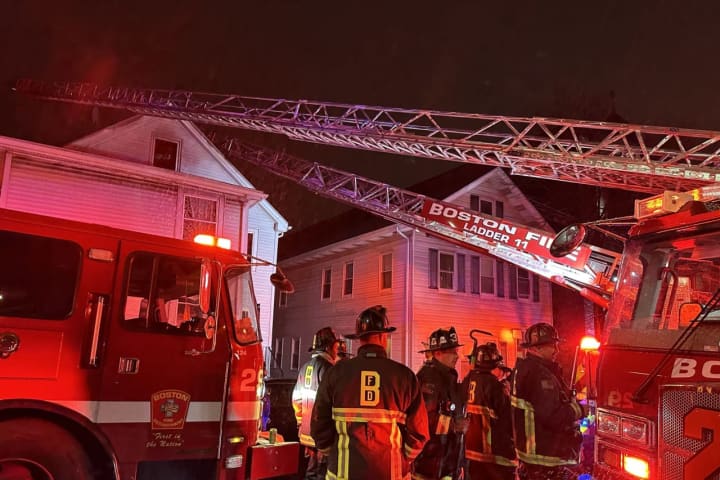 Firefighters Rescue Animals From Burning Home In Fire That Displaced 6 In Boston