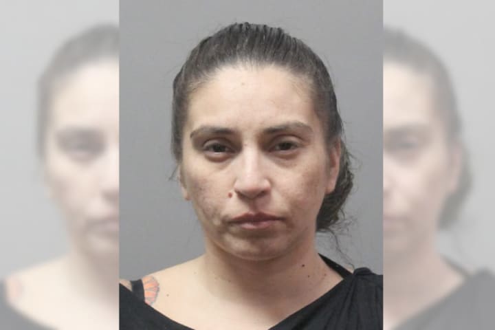 Woman Drives On Drugs With 5 Kids On Long Island: Police