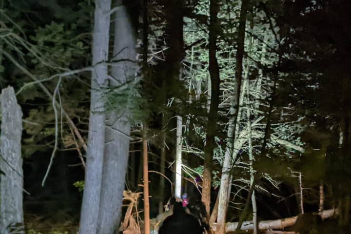 Injured Hiker, Lost Partner Rescued From Woods In Goshen