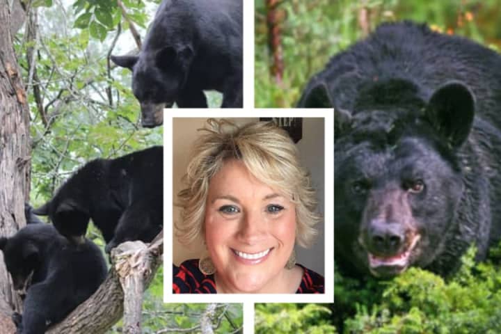 PA Mom Attacked By Bear Undergoes Multiple Surgeries