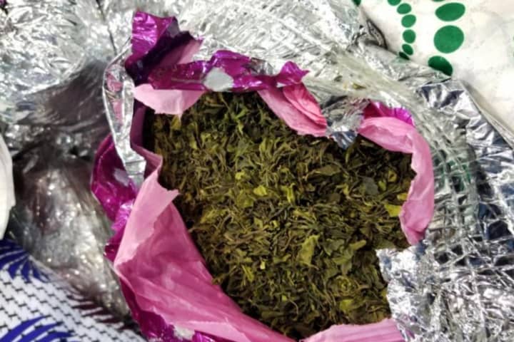 Feds: PA Man Nabbed Collecting 950 Pounds Of Khat At Newark Airport