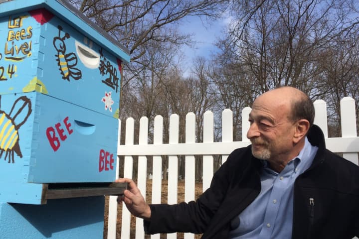 Wyckoff Beekeeper Thrives With Hives