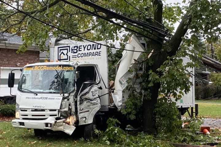 Truck Topples Utility Pole, Hits Tree In Fair Lawn