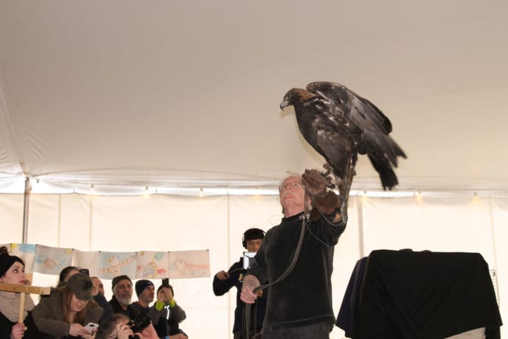 Teatown Gears Up For Annual Eaglefest
