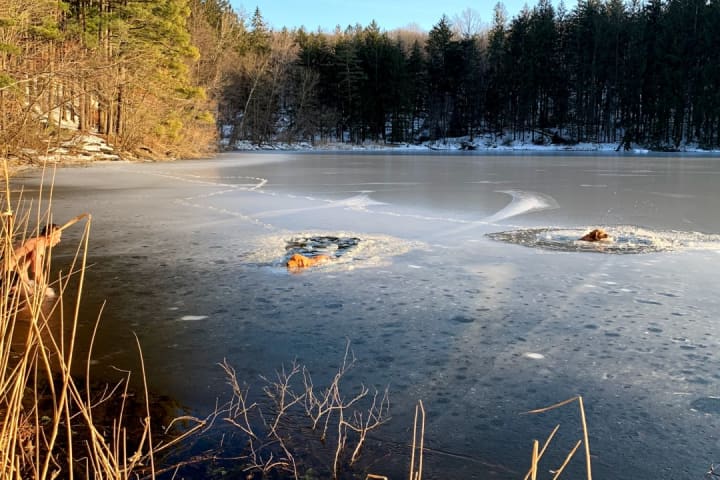 Man Rescues Two Dogs From Frigid Irvington Reservoir