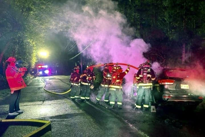 DoorDasher Delivering Dessert Escapes Horrific Fate When Kia Catches Fire In Ho-Ho-Kus