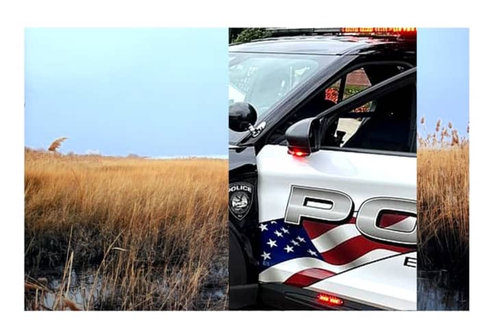 Somewhere In The Swamps Of East Rutherford: Garfield Vehicle Thief Crashes, Bails