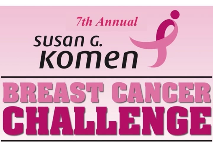 Bergen Girls Softball Teams Flock To Demarest For Breast Cancer Tournament