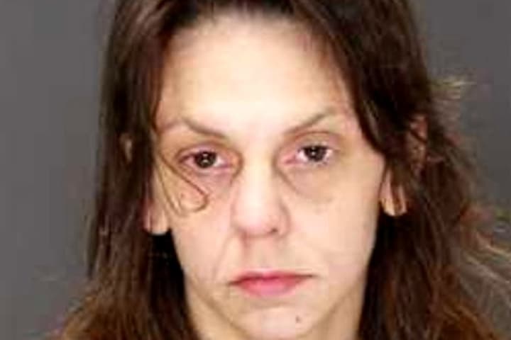 Ramsey Woman, Long Island Man Busted On Drug, Prostitution Charges At Route 17 Hotel