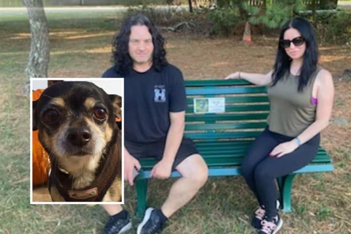 Danzig Bass Player, Wife Dedicate Bench In Mahwah Park In Memory Of Beloved Chihuahua